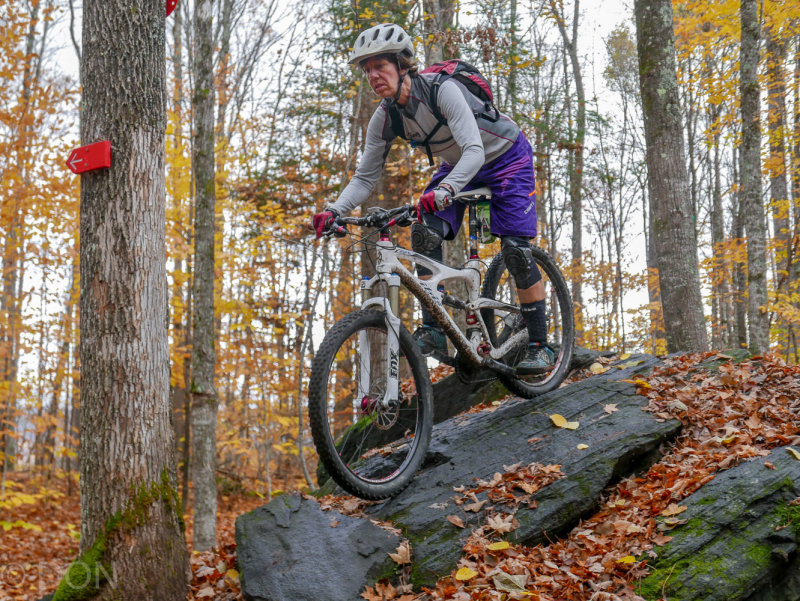 P1100795LR PF.jpg
