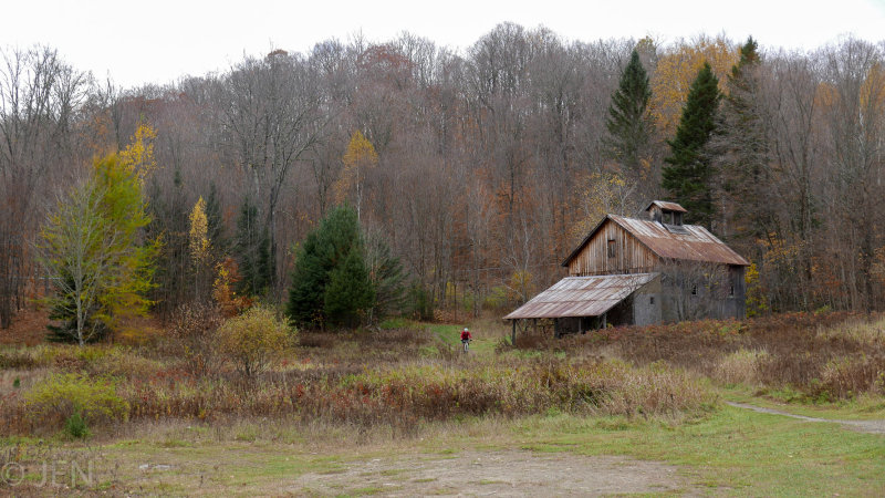 P1100808LR PF.jpg