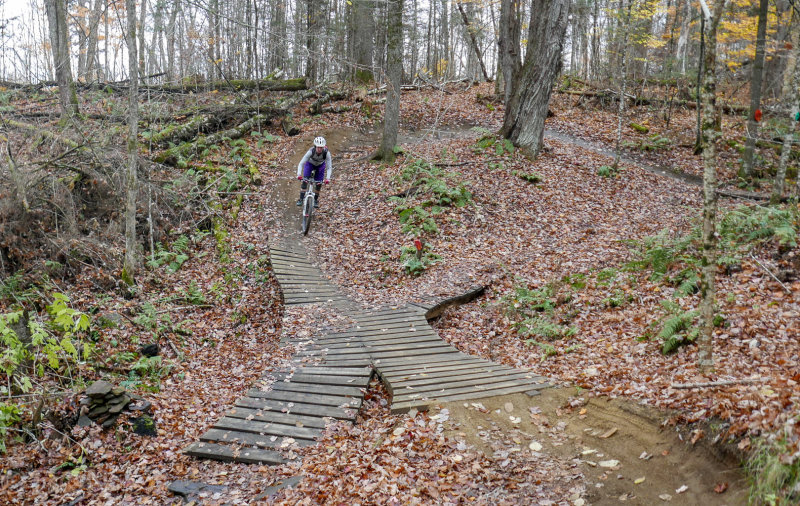 P1100823LR PF.jpg
