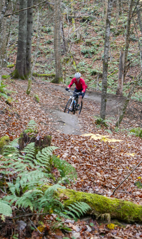 P1100830LR PF.jpg