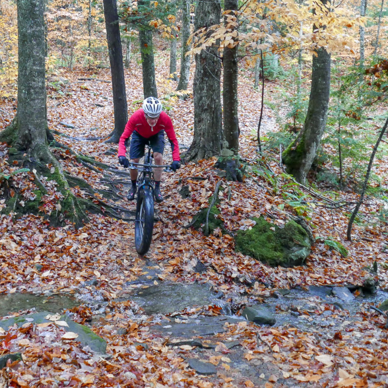 P1100835LR PF.jpg
