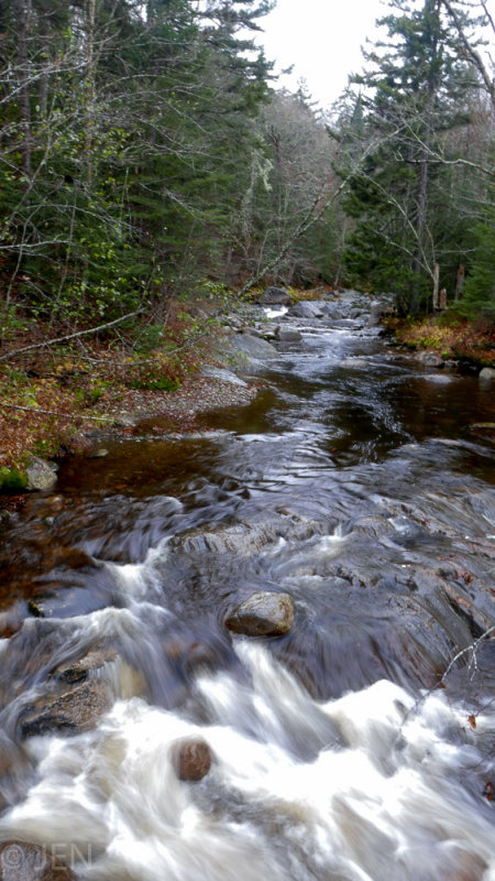 P1100894LR PF.jpg