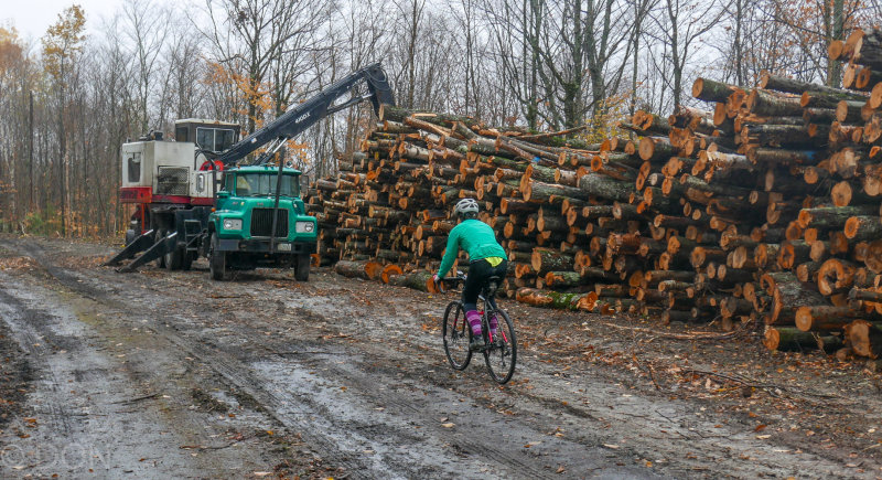P1100921LR PF.jpg