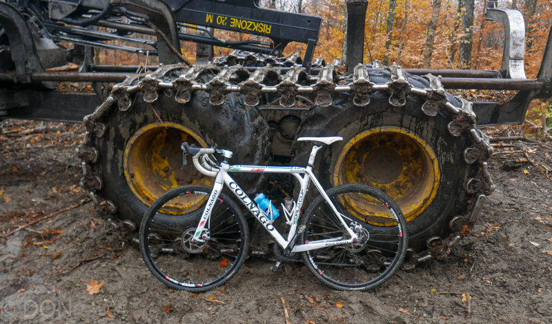 P1100927LR PF.jpg