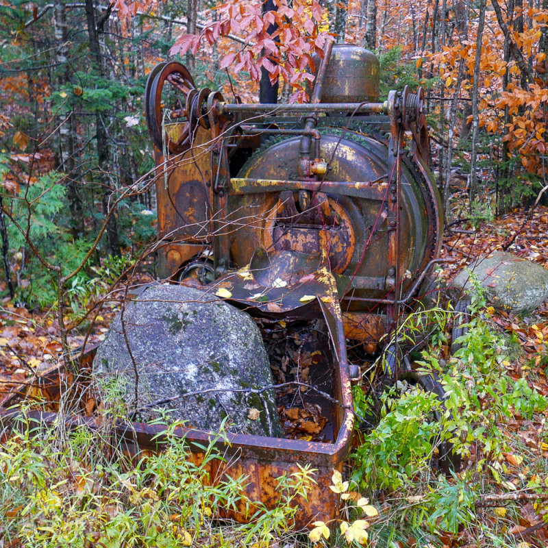 P1100937LR PF.jpg