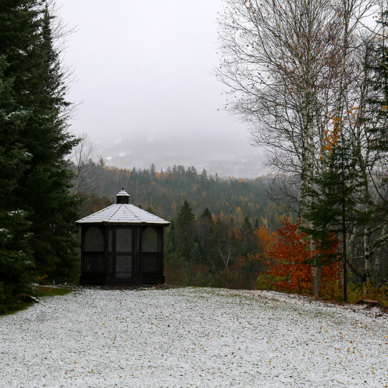P1100939LR PF.jpg