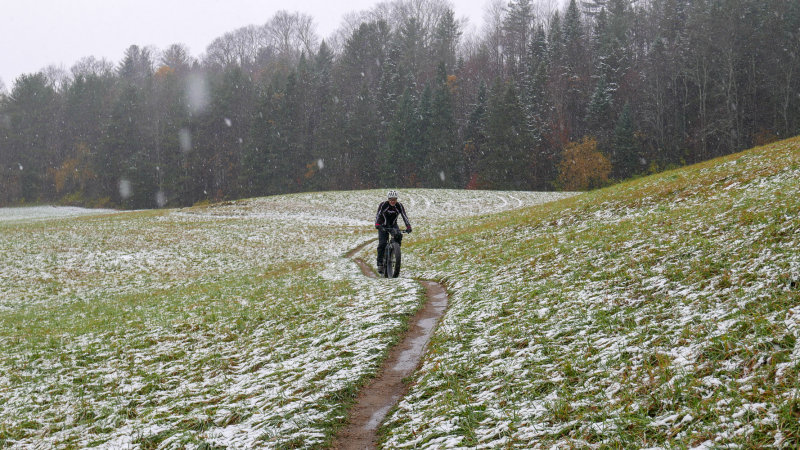 P1100940LR PF.jpg
