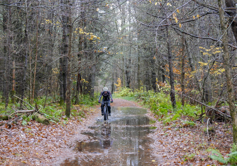 P1100970LR PF.jpg