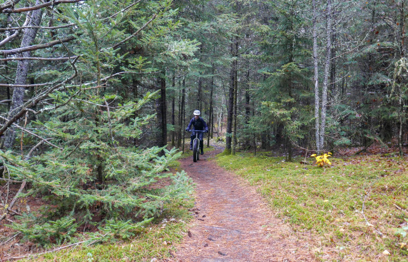 P1100985LR PF-2.jpg