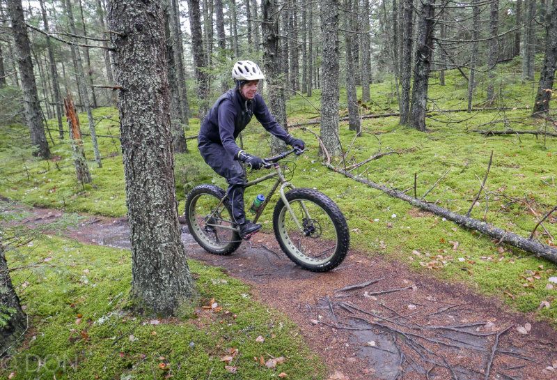P1100994LR PF-2.jpg