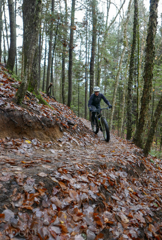 P1100998LR PF-2.jpg