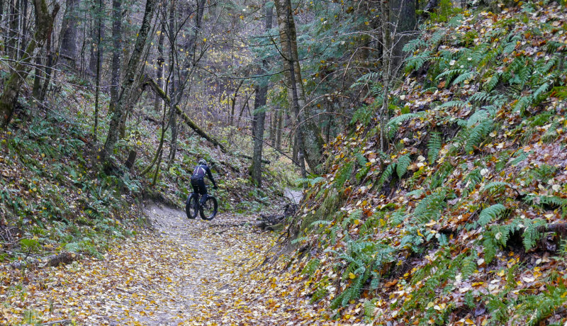 P1110019LR PF.jpg