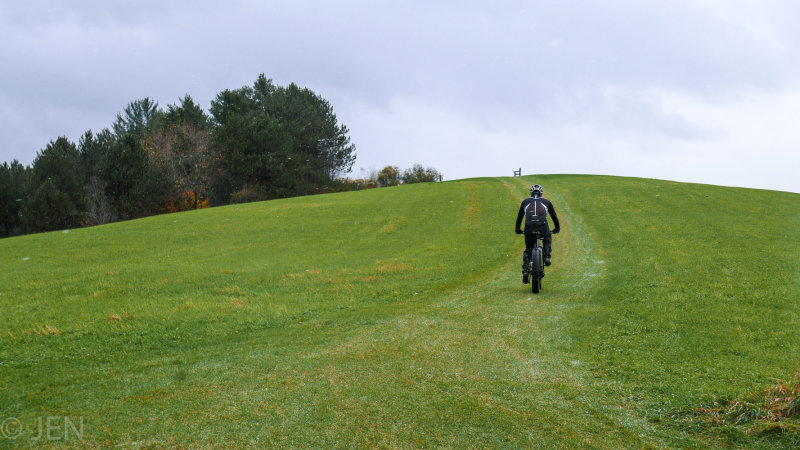 P1110057LR PF-2.jpg
