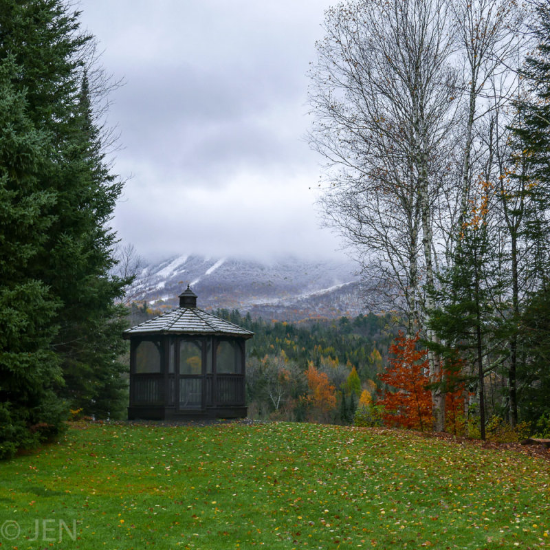P1110074LR PF-2.jpg