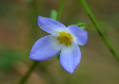 DSC_24645ps PF.jpg