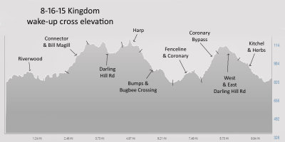 Sunday morning cx elevation PF.jpg
