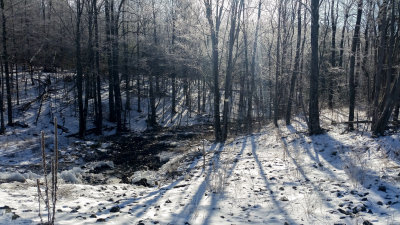 20160124_100359LR PF.jpg