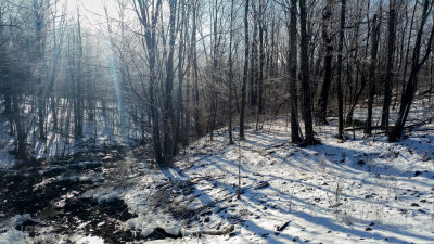 20160124_100421LR PF.jpg