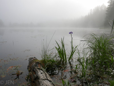 P1060228LR PF.jpg