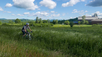P1060600LR PF.jpg