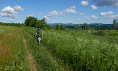 P1060605LR PF-2.jpg