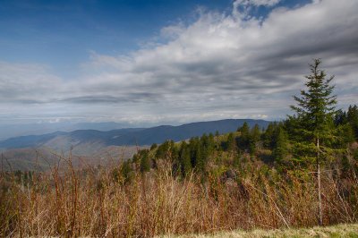 Great Smoky Mountains National Park trip, Day 1.