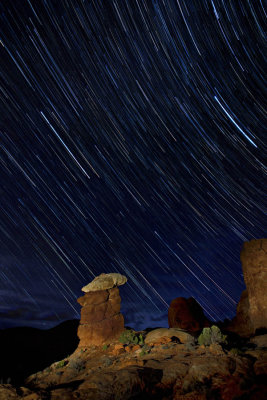 Star Trails over the Toadstool