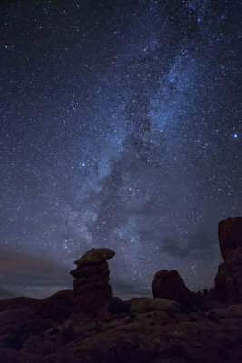 Milky Way over the Toadstool