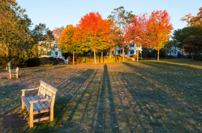 Camden Public Library Lawn