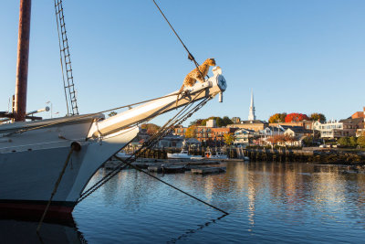 Camden Harbor Windjammer