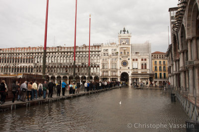 Venice