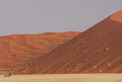 Namib desert