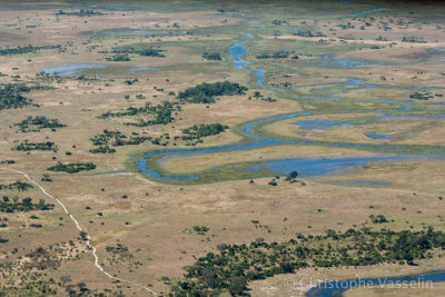 Okavango Delta