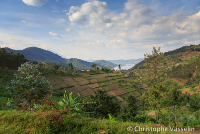 Landscape of Rwanda