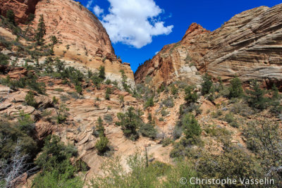 Zion National Park