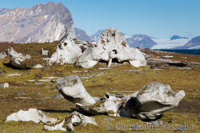 Whale's bone on the old whaling site Gashamna