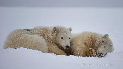Sleeping
