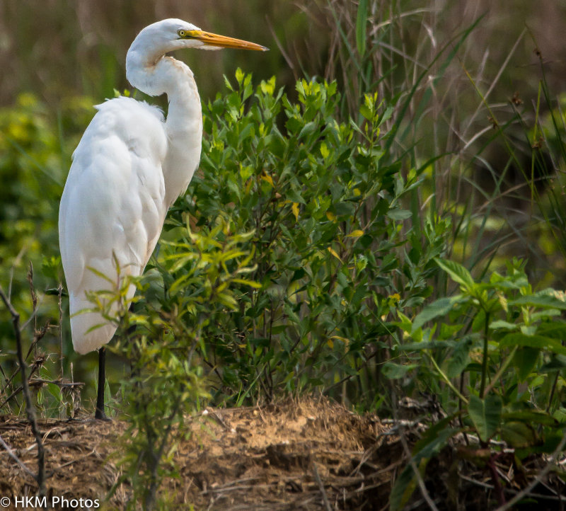 AssateaqueJune2013 (46 of 46).JPG