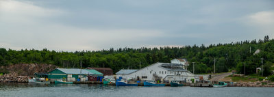 DSC02243.jpg