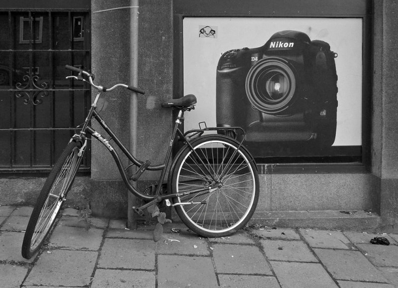  Nikon & Pollux