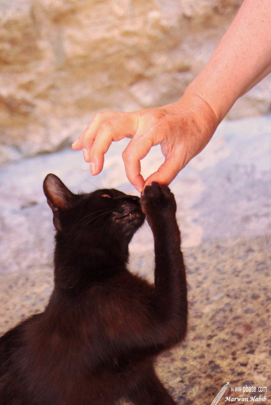 Give me some, please / Donne moi un peu, STP