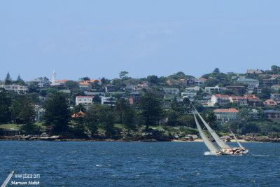 Sydney - Harbour