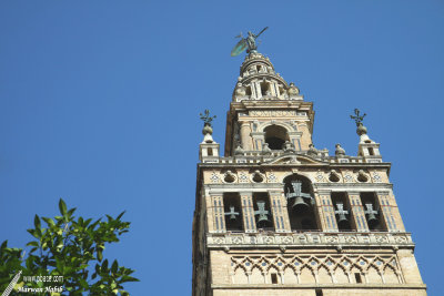 Sevilla / Séville - Giralda