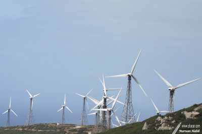 Tarifa
