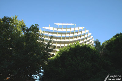 Sevilla / Séville - El Parasol
