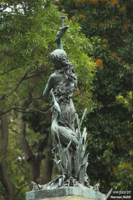 Sydney - Royal Botanic Gardens