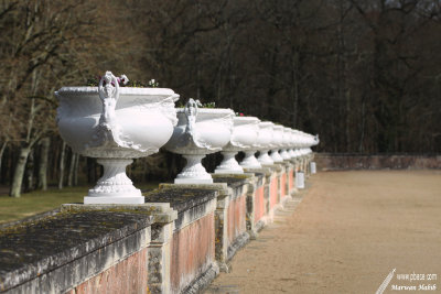 Chenonceau - Parc
