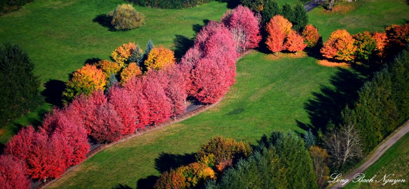 Colorful Driveway, North Bend, Washington  