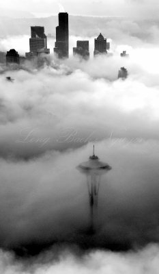 Sea of Fog or Space Needle Hidden in Fog and Seattle Skyline 354