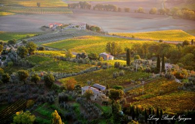 Sunrise on Vineyards in Montalcino Valley, Montalcino, Tuscany, Italy 007